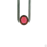 1.60 Carat Natural Pink Tourmaline 8.2 x 6.8 mm Oval Faceted Gemstone Loose