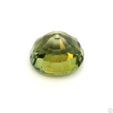 2.66 Carat Natural Green Tourmaline 8.5 x 7.2 mm Oval Faceted Gemstone Loose