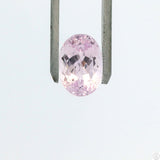 8.59 Carat Natural Kunzite 14 x 10 mm Oval Faceted Gemstone Loose