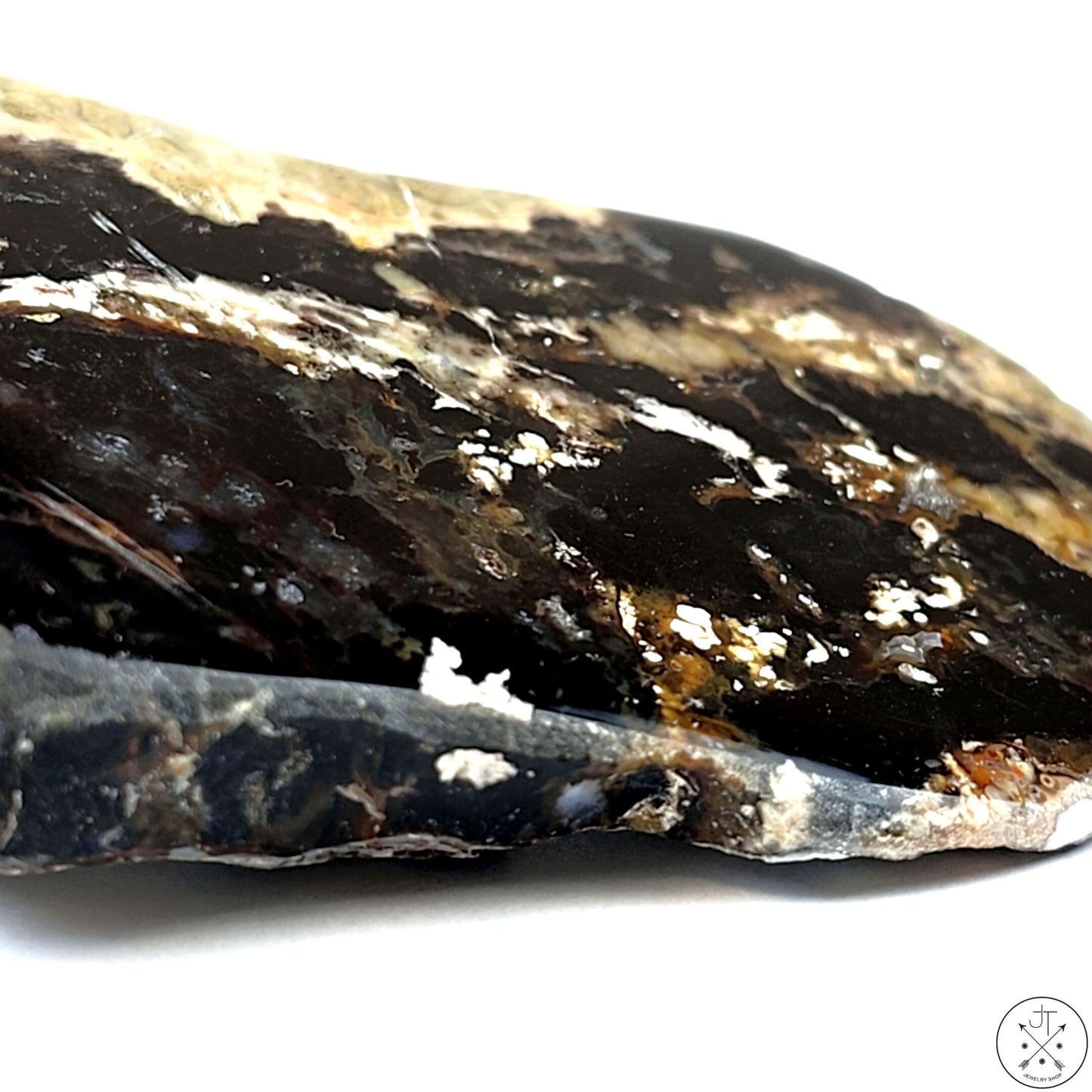 New Free-Standing Turkish Colla Petrified Wood Specimen 3 Inch 143g Display