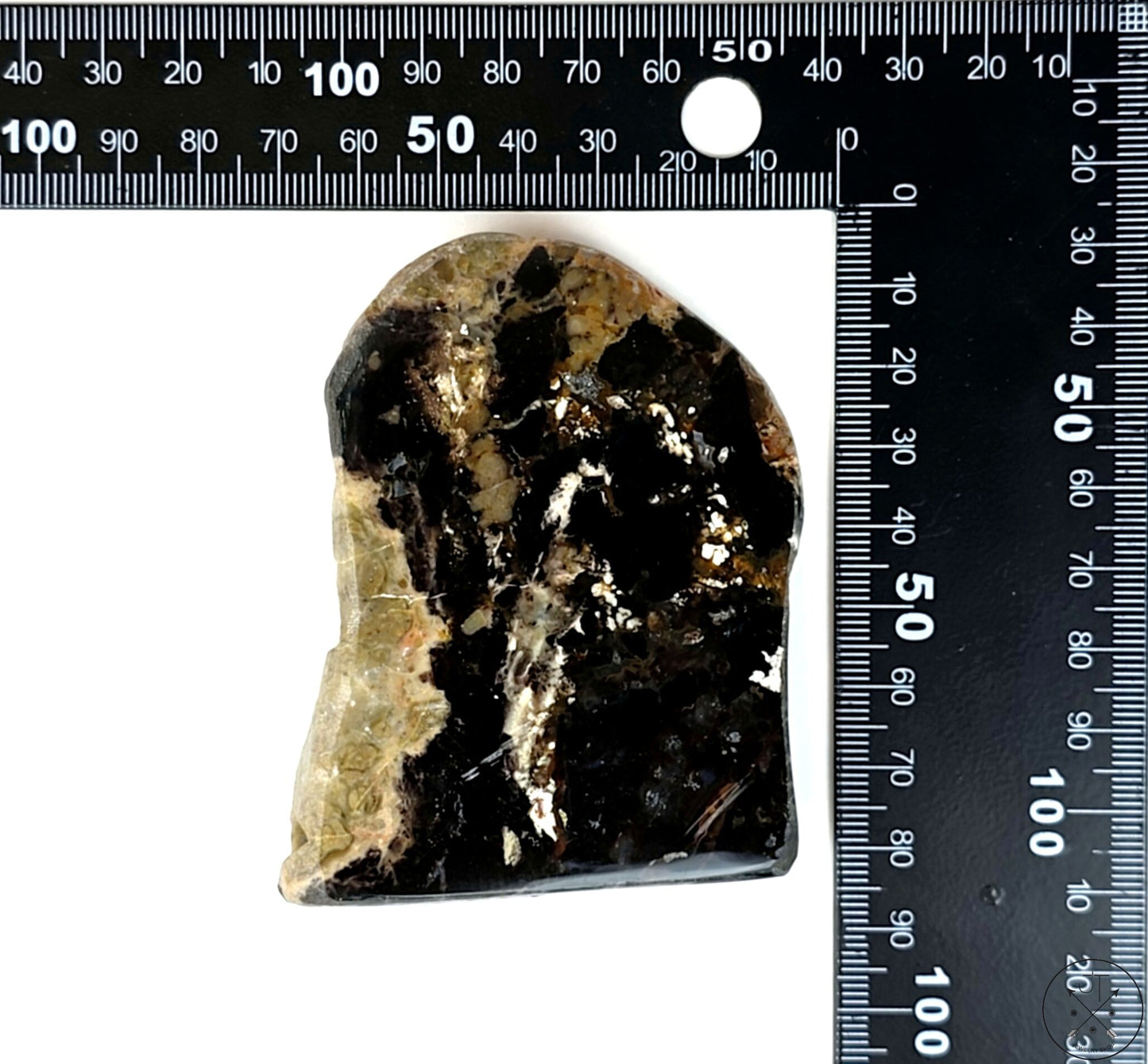 New Free-Standing Turkish Colla Petrified Wood Specimen 3 Inch 143g Display