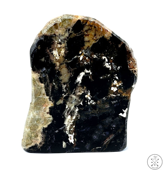 New Free-Standing Turkish Colla Petrified Wood Specimen 3 Inch 143g Display