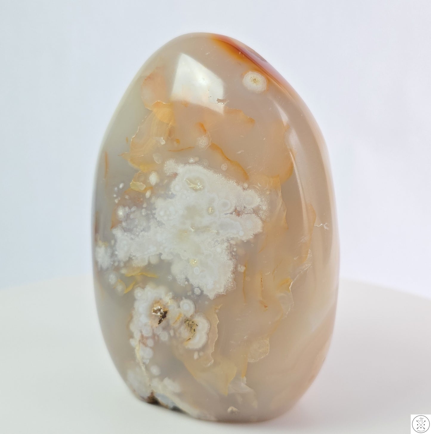 New 1195 gram 5 1/4 inch Natural Flower Agate Freeform 2.6 lb