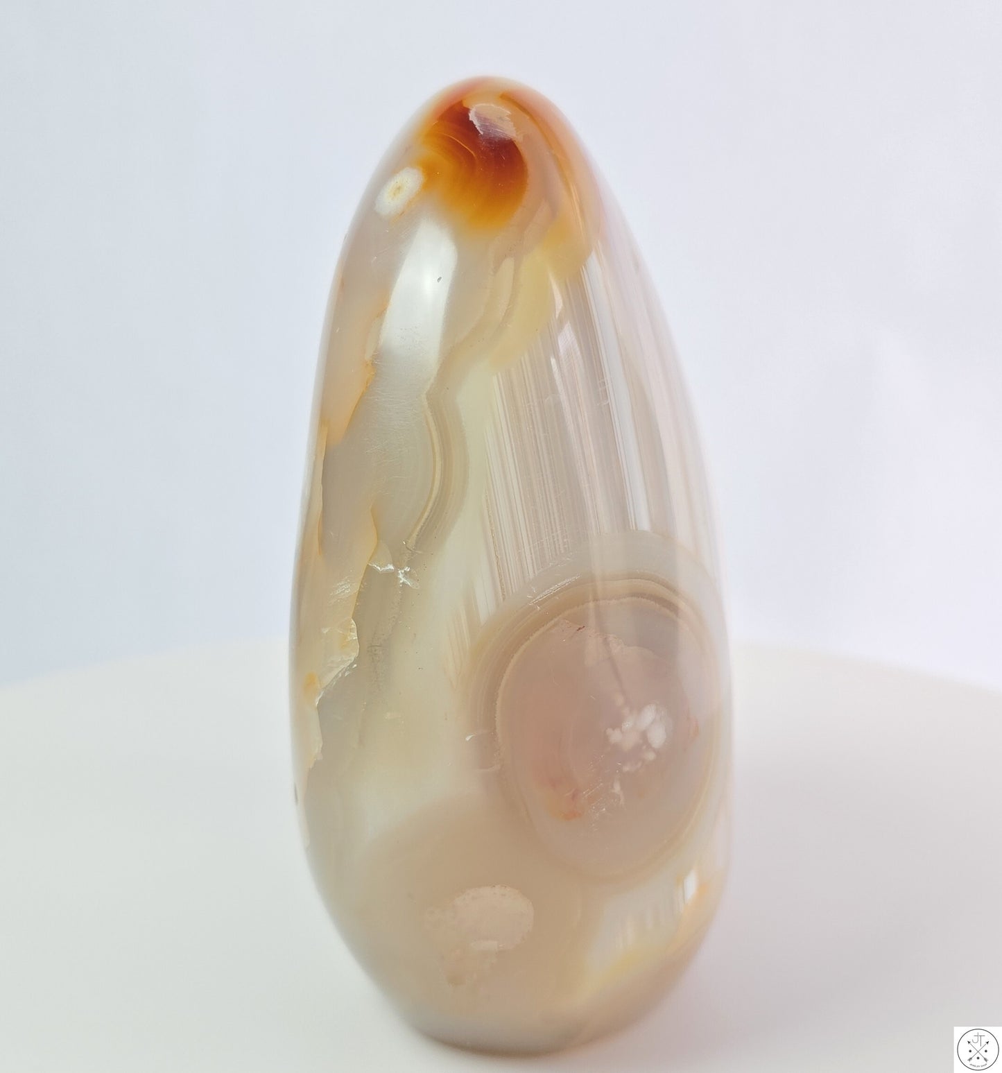 New 1195 gram 5 1/4 inch Natural Flower Agate Freeform 2.6 lb