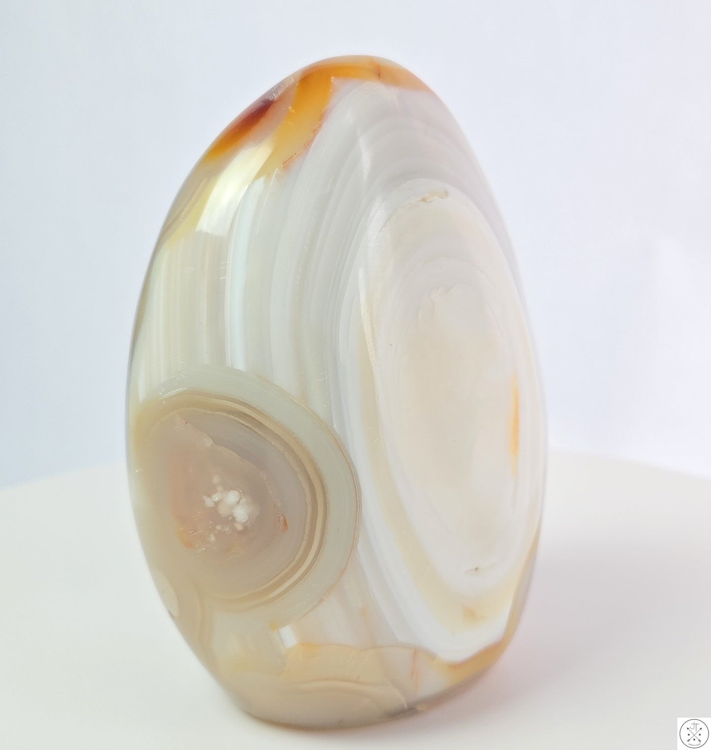 New 1195 gram 5 1/4 inch Natural Flower Agate Freeform 2.6 lb