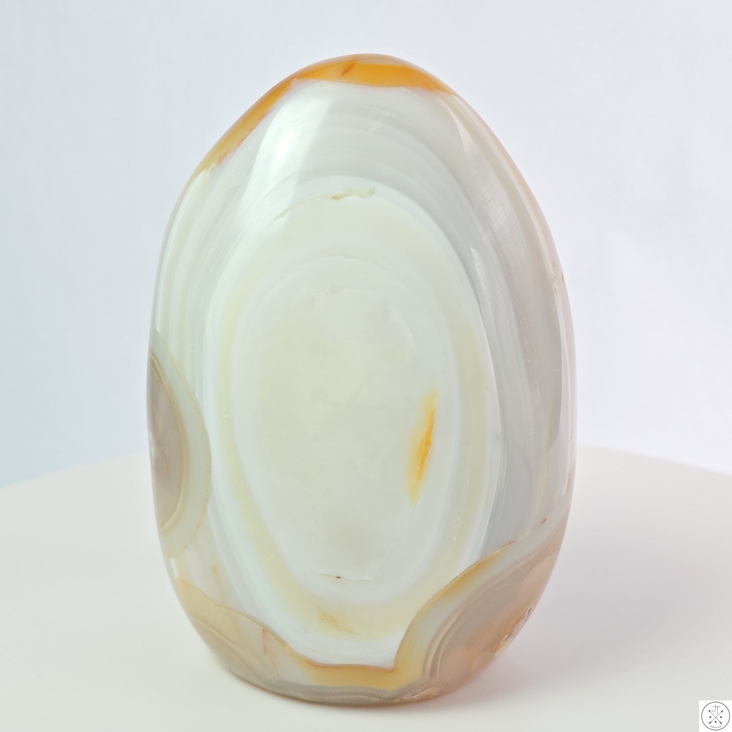 New 1195 gram 5 1/4 inch Natural Flower Agate Freeform 2.6 lb