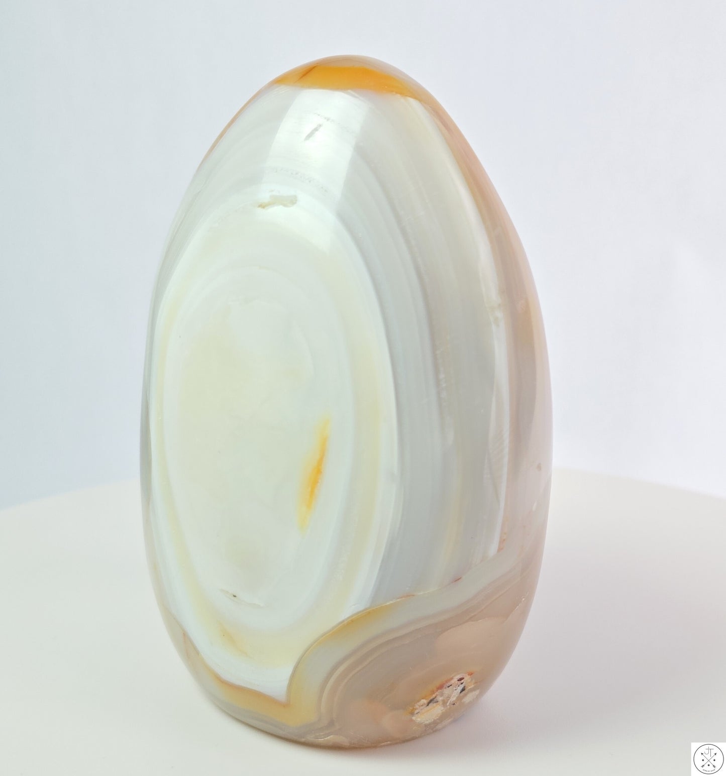 New 1195 gram 5 1/4 inch Natural Flower Agate Freeform 2.6 lb