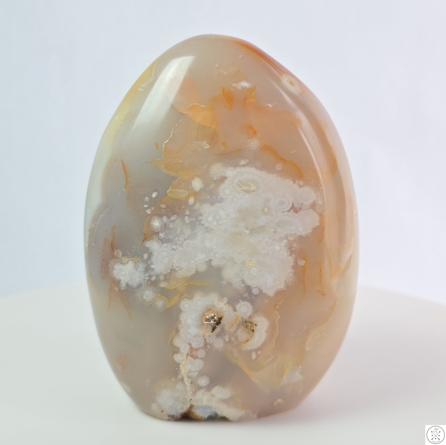 New 1195 gram 5 1/4 inch Natural Flower Agate Freeform 2.6 lb