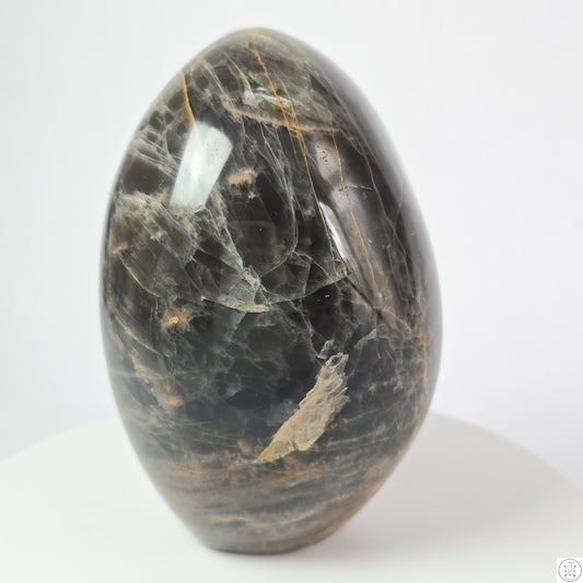 New 1350 gram 5 inch Natural Black Moonstone Freeform 2.98 lb Polished Specimen