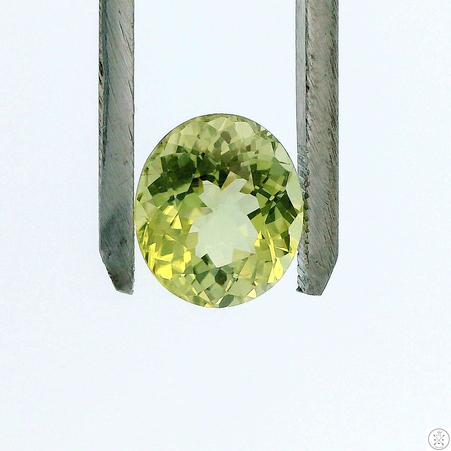3.67 Carat 11 x 9 mm Elbaite Tourmaline Green Oval Faceted Natural Gemstone Loose