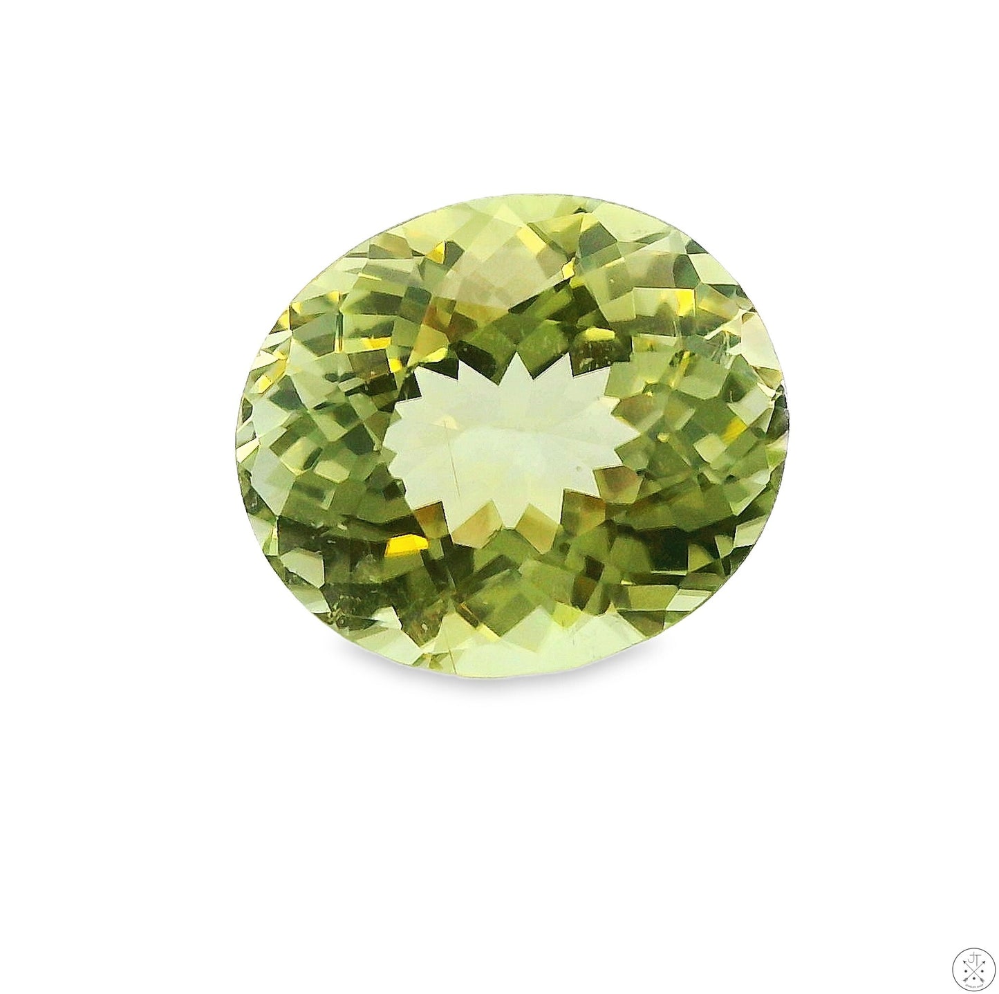 3.67 Carat 11 x 9 mm Elbaite Tourmaline Green Oval Faceted Natural Gemstone Loose
