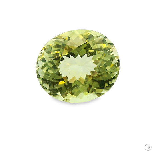 3.67 Carat 11 x 9 mm Elbaite Tourmaline Green Oval Faceted Natural Gemstone Loose
