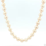 Vintage 14k Yellow Gold 8 Inch 5 mm Pearl Bracelet